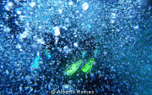 Yellow fins  & bubbles. by Alberto Romeo 